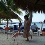 Profile Picture of Janet Marlin Wilson (@janwil1954) on Instagram