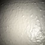 Profile Picture of Fernando Alaniz (@lil__nando) on Instagram