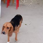 Profile Picture of Fabio Zapata (@Fabio-Zapata) on Facebook