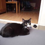 Profile Picture of Eva Mohr (@evamohr314) on Instagram