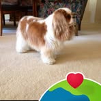 Profile Picture of Debbie Bartelt (@debbie.bartelt.317570) on Facebook