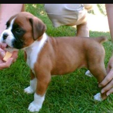 Profile Picture of Lindsey hearn (@softballgirllindsey) on Tiktok