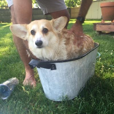 Profile Picture of Matt Moffatt (@olivesarmy) on Twitter