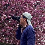 Profile Picture of Tai Tien Huynh (@tai.t.huynh) on Flickr