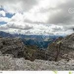 Profile Picture of roscoe Bryant (@roscoebryant4) on Instagram