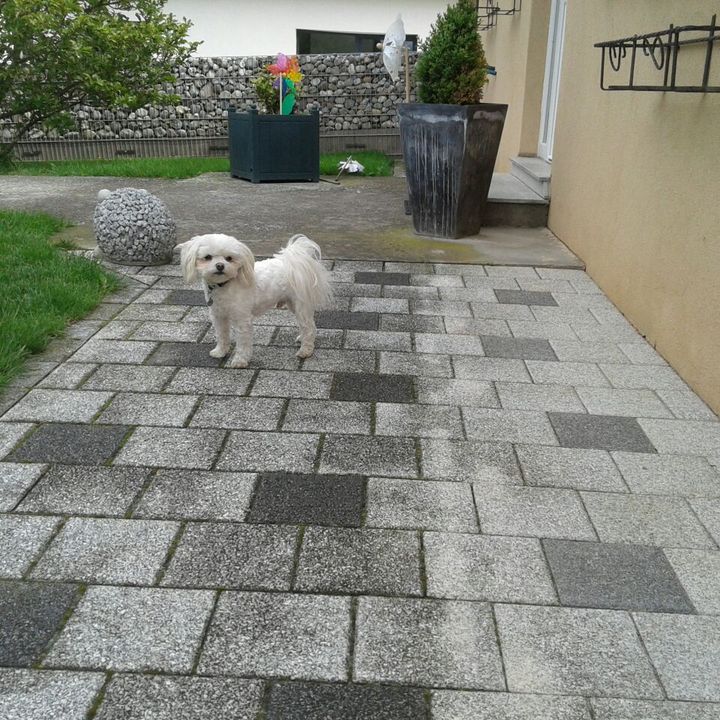 Profile Picture of charline (@charlinestirmann) on Tiktok