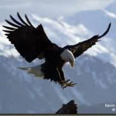 Profile Picture of Stacy Ingraham, Ph.Don Twitter