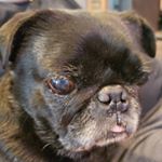 Profile Picture of Dee Ramey (@rockys.momma) on Instagram