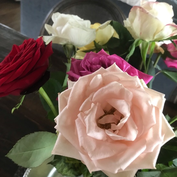 Profile Picture of Lauren Ritterman (@laurenritterman) on Poshmark