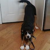 Profile Picture of Hannah Quick (@Squickish) on Youtube