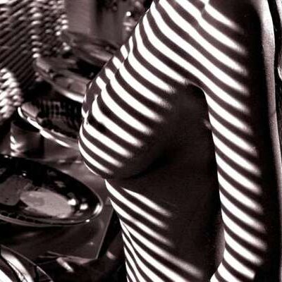 Profile Picture of Mora Carrier (@GeorgeKohn1qE7) on Twitter