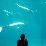Profile Picture of hirano yuya (@hiranomichael) on Instagram