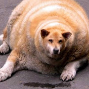 Profile Picture of Gregory Gonzalez (@gregorygonzalez9090) on Youtube