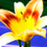 Profile Picture of Brenda Gotcher (@brenda gotcher) on Flickr