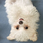 Profile Picture of Kee Wee (@keewee7046) on Youtube