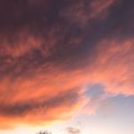 Profile Picture of eleanor.byeeeee (@eleanor.byeeeee) on Instagram