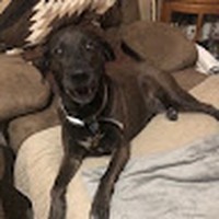 Profile Picture of Brian Muirhead (@brian-muirhead-12) on Quora