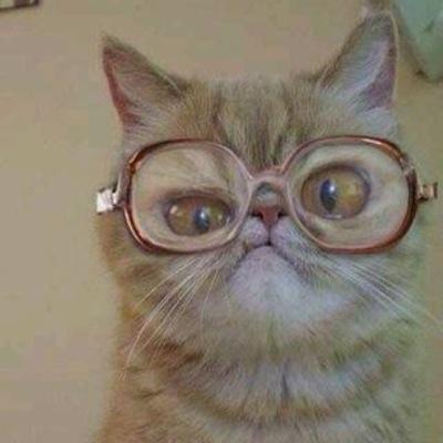 Profile Picture of Joanna Haskell (@Haskowski_1) on Twitter