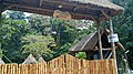 Profile Picture of Mpanga Central Forest Reserveon Wikipedia