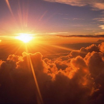 Profile Picture of Ginger Silva (@GingerS95832990) on Twitter