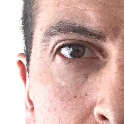 Profile Picture of Amos Zeeberg (@@settostun) on Twitter