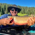 Profile Picture of Bryan Schwarz (@bryan.schwarz.52) on Instagram