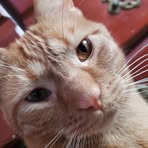 Profile Picture of Joel Prewitt (@joel.prewitt.779) on Facebook