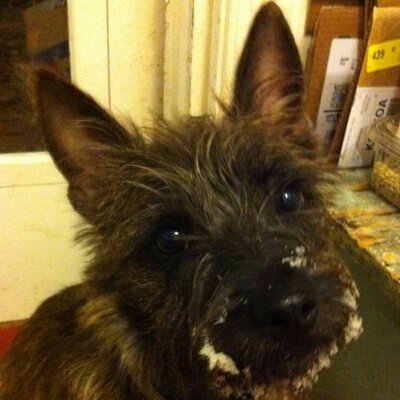 Profile Picture of Caroline Tompkins (@cftompkins) on Twitter