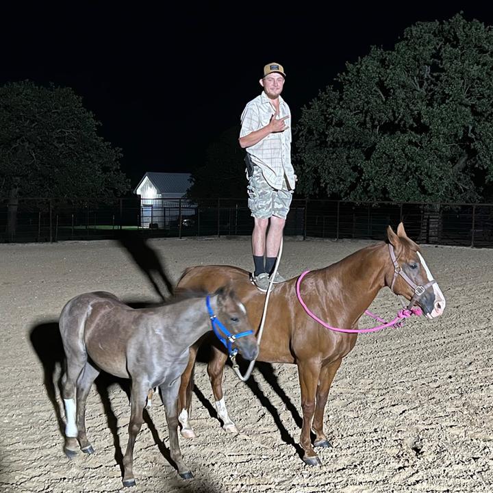 Profile Picture of Cody Franklin (@@codyfranklin19) on Tiktok