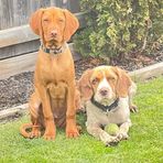 Profile Picture of Mark Heslin (@mark.heslin.52) on Facebook