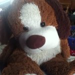 Profile Picture of Joseph Oberle (@mansassisn) on Instagram