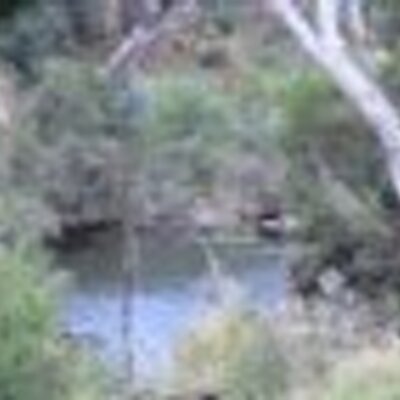 Profile Picture of Matt Bunney Images (@Mattbunneyimage) on Twitter