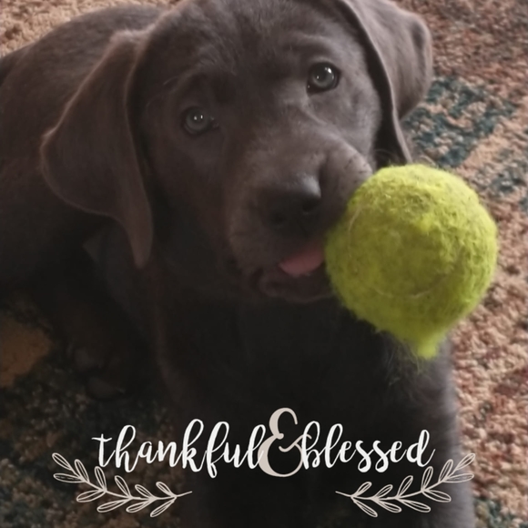 Profile Picture of Shelly Hubbard (@shelshtad1) on Poshmark