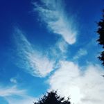 Profile Picture of Jenny (@grahamcoder) on Instagram