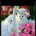 Profile Picture of Gstar (@gstar.gstar.75286) on Facebook