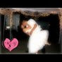 Profile Picture of CiNdY8708 (@@CiNdY8708) on Tiktok