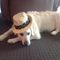 Profile Picture of Peter Weaver (@peter.weaver.505) on Facebook