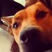 Profile Picture of Adam Devoe (@adamd0639) on Pinterest
