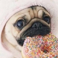 Jasmin Castaneda - Quora Profile Picture of Jasmin Castaneda (@jasmin-castaneda) on Quora