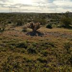 Profile Picture of David Tabet (@deebs65) on Instagram