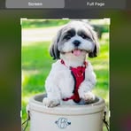 Profile Picture of Kim Jaruszewski (@kim.jaruszewski) on Facebook