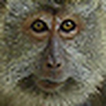 Profile Picture of Fife (@Fife) on Flickr