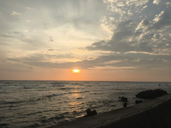 Profile Picture of Jocelyn Fonseca brown (@jocelynfonse114) on Poshmark