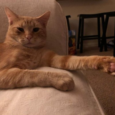 Profile Picture of Stephen Ruffino (@StephenRuffino4) on Twitter