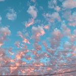 Profile Picture of Amanda Ralls (@amajudge) on Instagram