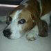 Profile Picture of Sandra Pearce (@sandra.pearce.908) on Facebook