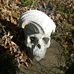 Profile Picture of Michael Engstrom (@michael.engstrom.315) on Facebook