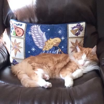 Profile Picture of Lucy (@laurel_harry) on Twitter