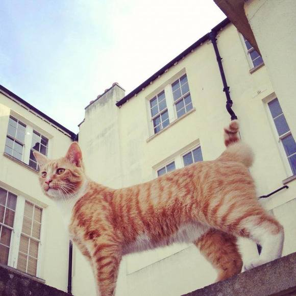 Profile Picture of Chloé Lucas-walsh (@chloeolivelw) on Poshmark