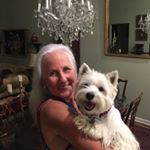 Profile Picture of Debbie Fultz (@westiehabit) on Instagram